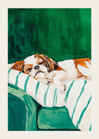 A poster of a sleeping dog that spreads peace and coziness-3
