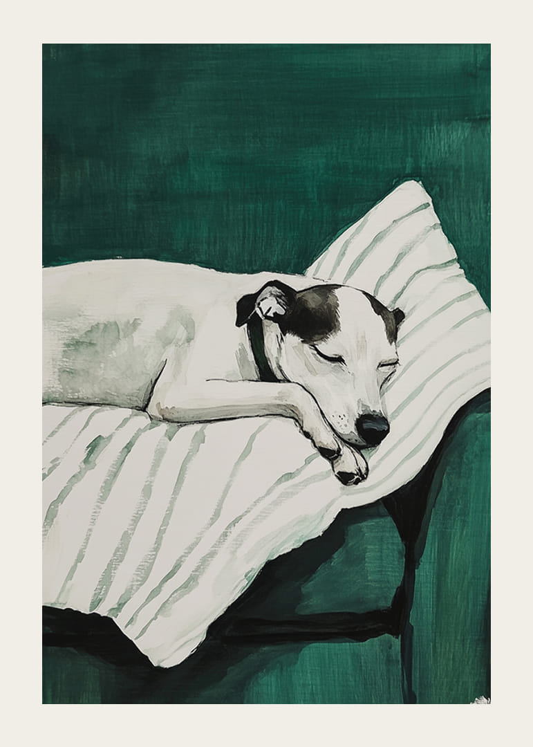 Un poster elegant cu un câine adormit-12