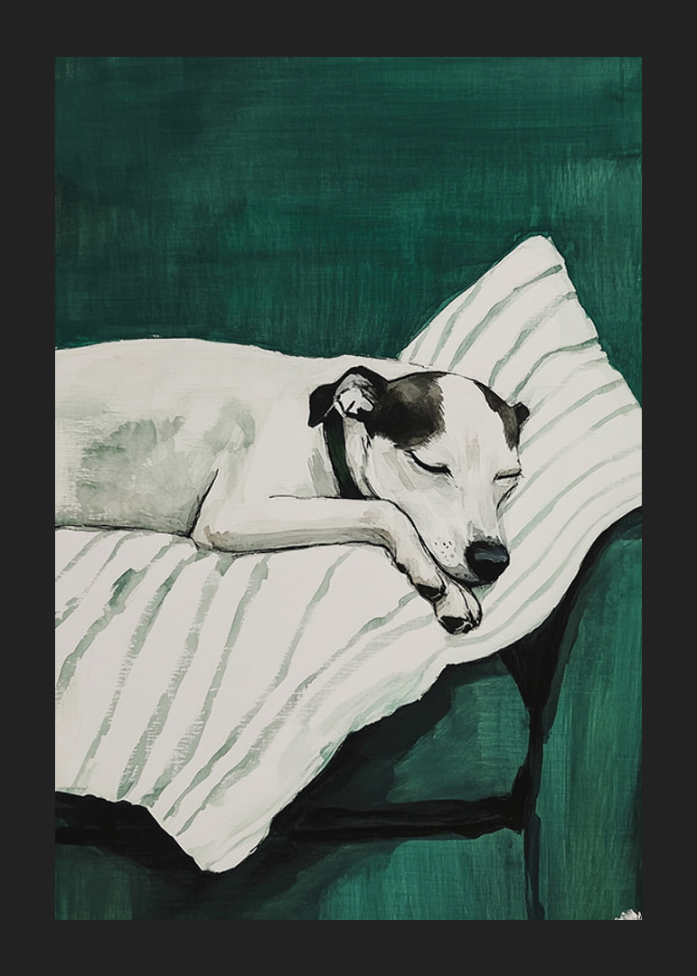Un poster elegant cu un câine adormit-12