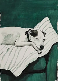 A stylish poster of a sleeping dog-7