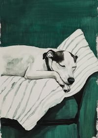 Een stijlvolle poster van een slapende hond-3