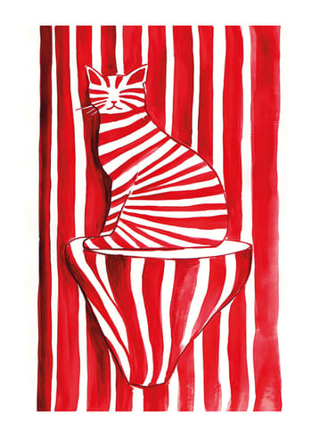 Poster Cat In Candy Stripes