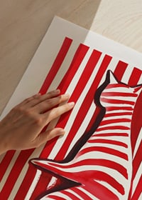 A cat in red and white creates a vibrant visual effect-9