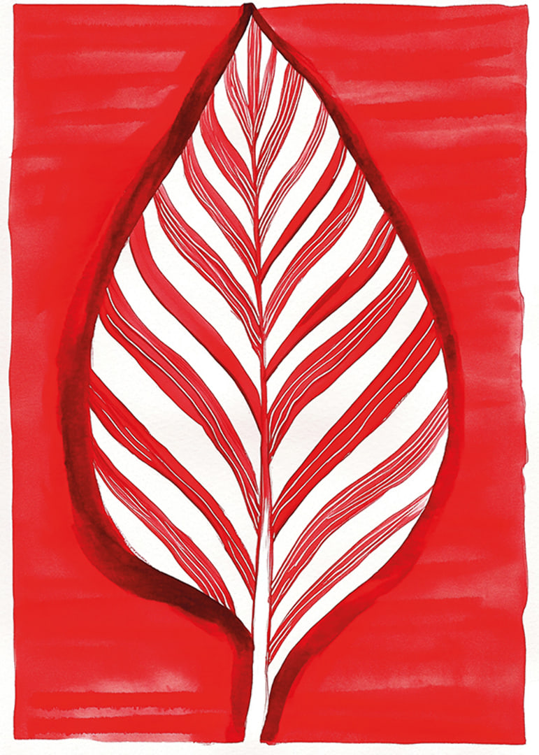 A bold leaf motif in red contrast creates vibrant energy-12