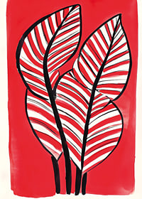 Zebra leaf design against a bold red background adds energy and contrast-7