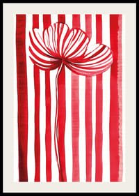 Żywy kwiat w kolorze czerwonym i białym rozsiewa radość dzięki swojemu graficznemu wyrazowi-2