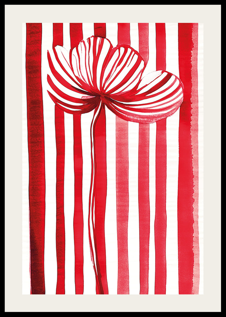 Żywy kwiat w kolorze czerwonym i białym rozsiewa radość dzięki swojemu graficznemu wyrazowi-12