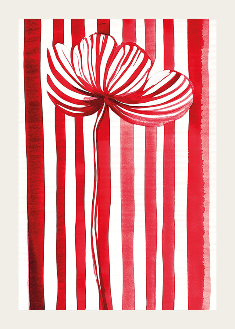 Żywy kwiat w kolorze czerwonym i białym rozsiewa radość dzięki swojemu graficznemu wyrazowi-12