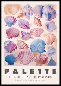 Scoici colorate în pasteluri moi surprind frumusețea oceanului-0