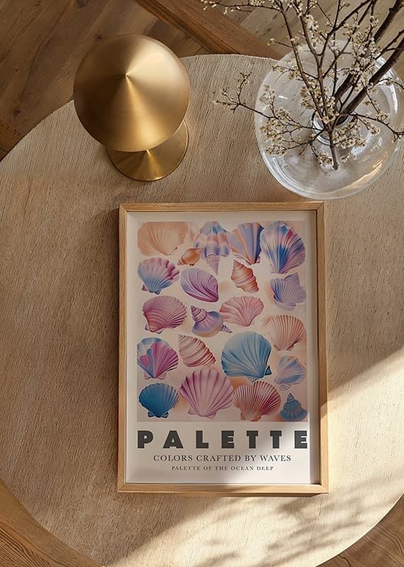 Scoici colorate în pasteluri moi surprind frumusețea oceanului-12