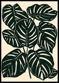 Frunzele de monstera întunecate creează o senzație botanică îndrăzneață și elegantă-0