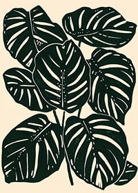 Dark monstera leaves create a bold and stylish botanical feel-1