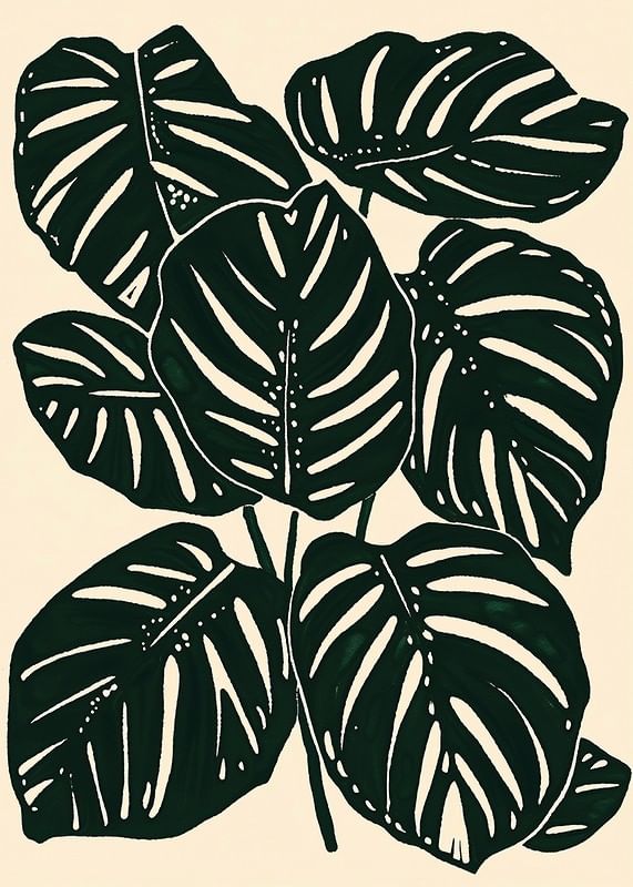 Frunzele de monstera întunecate creează o senzație botanică îndrăzneață și elegantă-12
