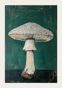 Prachtige paddenstoel op een diepgroene achtergrond voegt rauwe charme toe-3