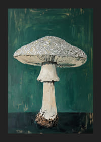 Prachtige paddenstoel op een diepgroene achtergrond voegt rauwe charme toe-5