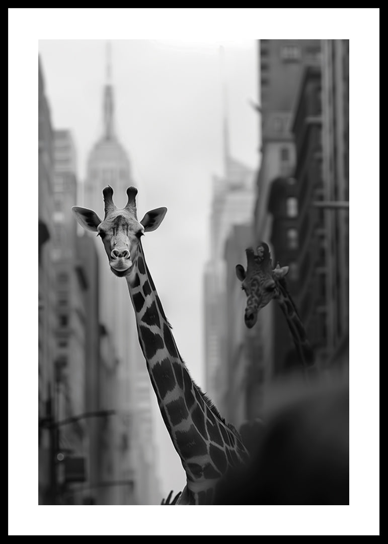 Giraffes in the big city give a surreal and dreamlike feeling-12