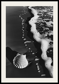 Encontro harmonioso entre a espuma do mar e uma concha solitária-2