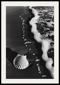 Harmonious meeting between sea foam and a lonely seashell-2