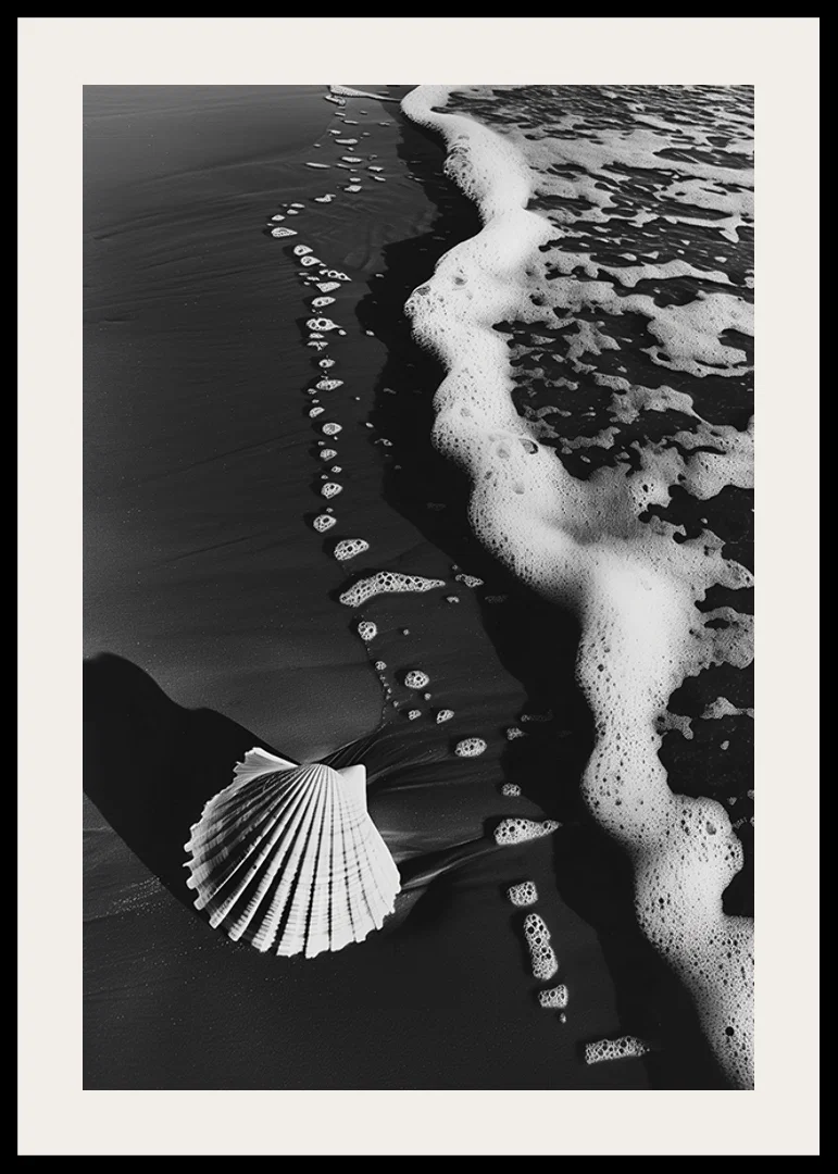 Harmonious meeting between sea foam and a lonely seashell-12
