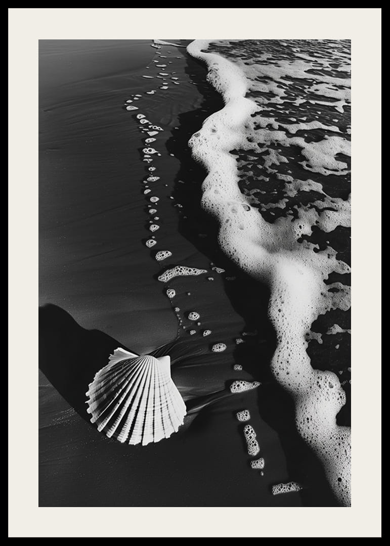 Encuentro armonioso entre la espuma del mar y una concha solitaria-12