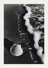 Harmonious meeting between sea foam and a lonely seashell-3