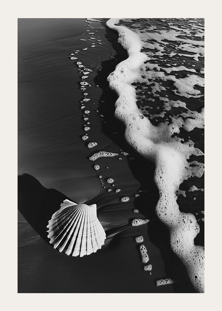 Harmonious meeting between sea foam and a lonely seashell-12