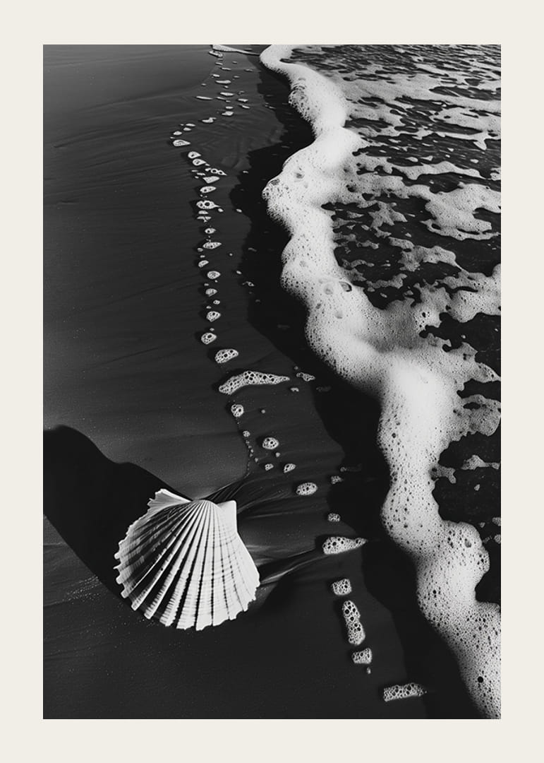 Encuentro armonioso entre la espuma del mar y una concha solitaria-12