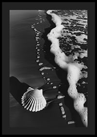 Encontro harmonioso entre a espuma do mar e uma concha solitária-4