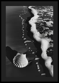 Encuentro armonioso entre la espuma del mar y una concha solitaria-4