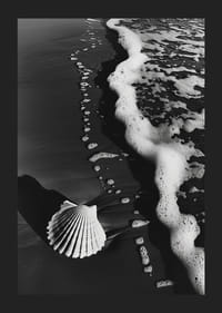 Encuentro armonioso entre la espuma del mar y una concha solitaria-5