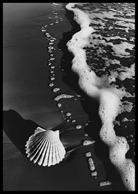 Harmonious meeting between sea foam and a lonely seashell-6