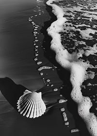 Encontro harmonioso entre a espuma do mar e uma concha solitária-7