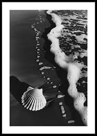 Encontro harmonioso entre a espuma do mar e uma concha solitária-0