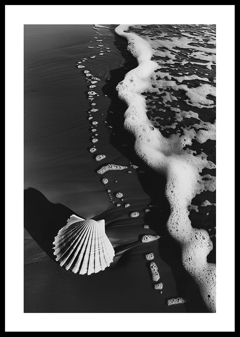Harmonious meeting between sea foam and a lonely seashell-12