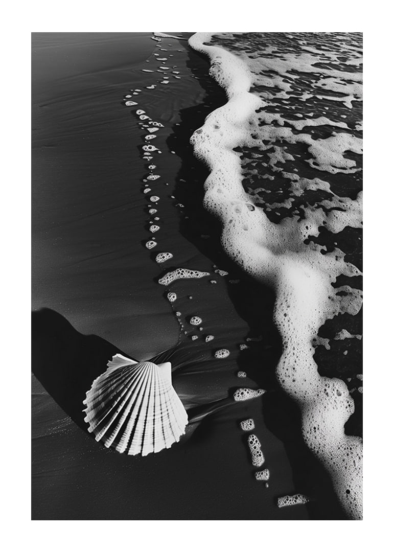 Encontro harmonioso entre a espuma do mar e uma concha solitária-12