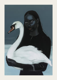 En mystisk affinitet mellan kvinna och svan i skuggspelet-3