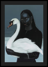 En mystisk affinitet mellan kvinna och svan i skuggspelet-4