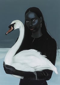 A mysterious affinity between woman and swan in the shadow play-7