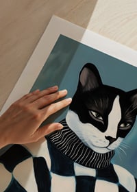 Stilfull katt i rutig tröja utstrålar självsäker elegans-9